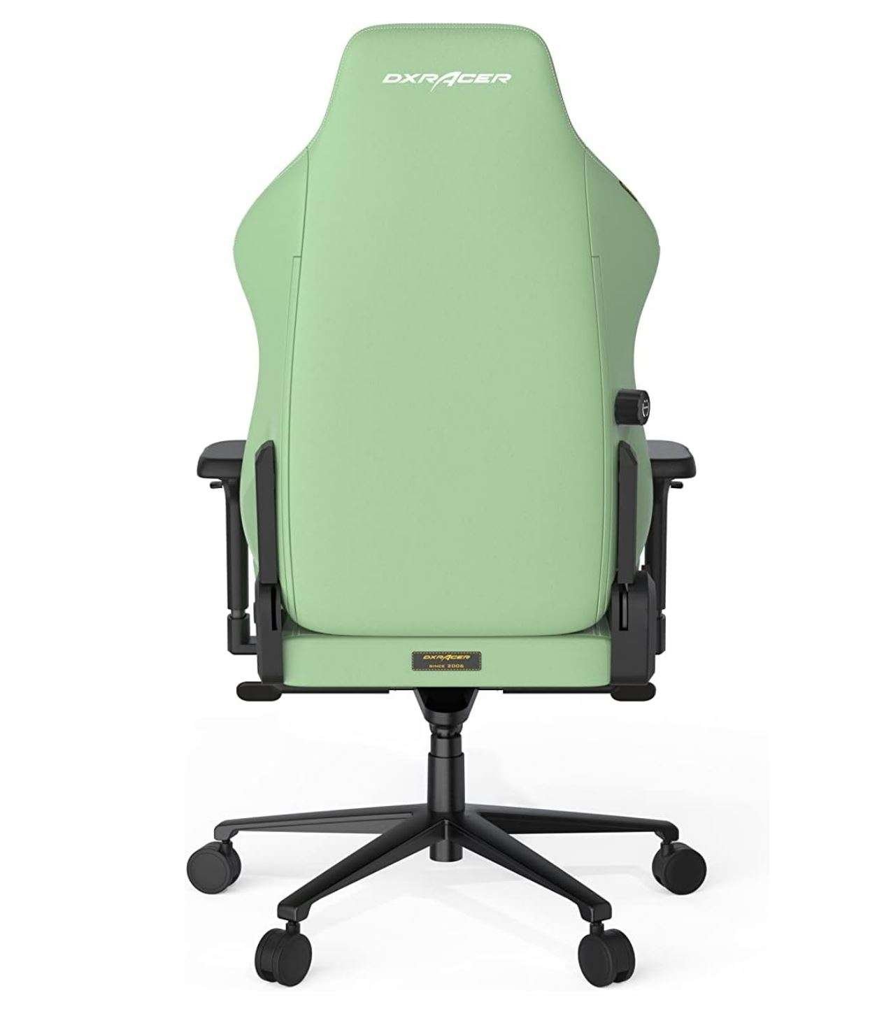 DXRacer Craft Pro Classic Green, 2D Integrated  Lumbar Support, 4D Armrests, Adjustable Recline with Cooling Gel Foam Pillow, Standard | CRA-PR001-E-H1 - Image 2