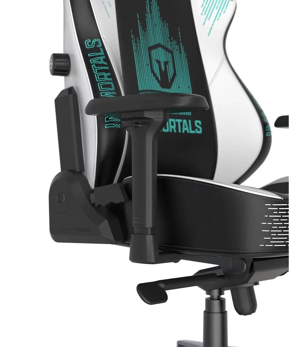DXRacer Craft Pro Immortals - Black/White, 2D Integrated  Lumbar Support, 4D Armrests, Adjustable Recline with Cooling Gel Foam Pillow, Standard | CRA-PR041-NW-H1 - Image 2